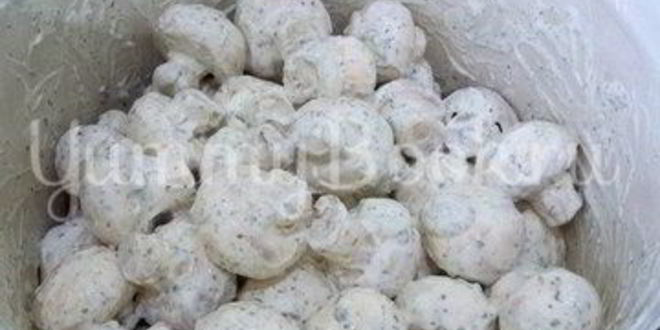 Рецепт шампиньонов, запеченных на костре