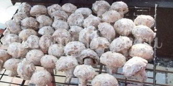 Рецепт шампиньонов, запеченных на костре