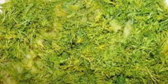 Рецепт запеченных подберезовиков