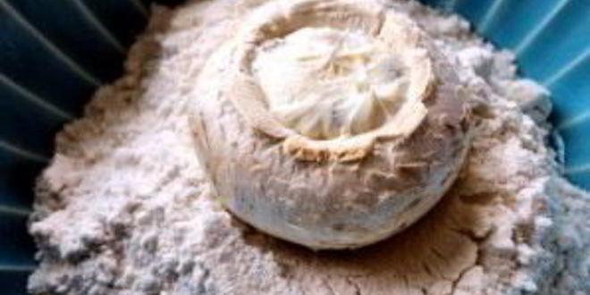 Рецепт жареных фаршированных шампиньонов