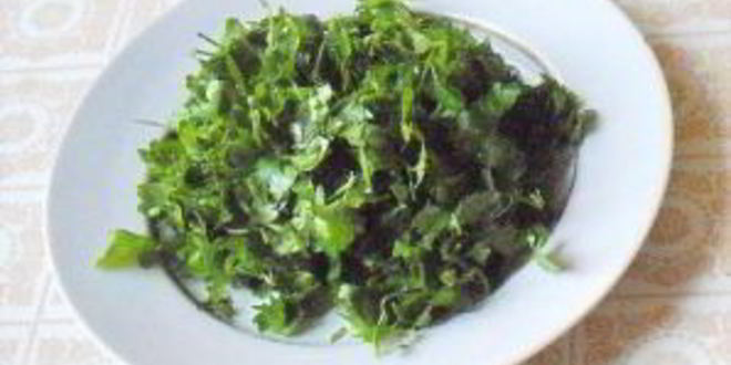 Рецепт гуляша из телятины на новый год