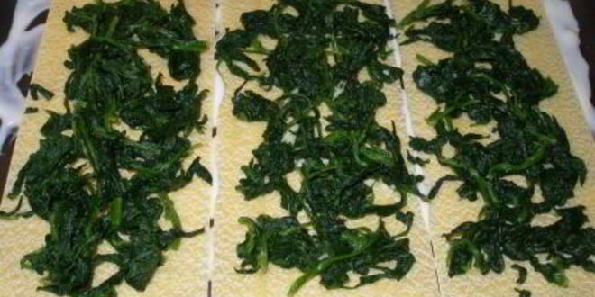 Рецепт лазаний с семгой и шпинатом