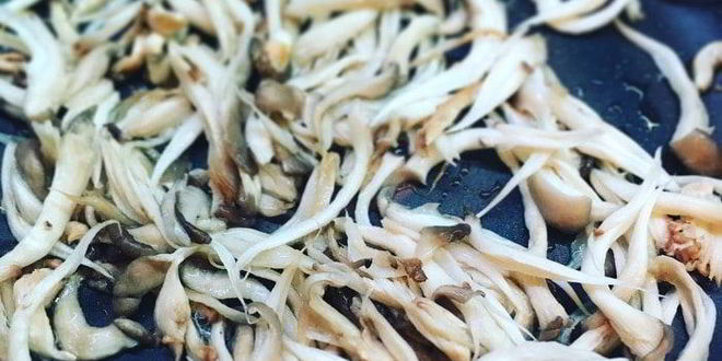 Рецепт лазаний с вешенками под соусом бешамель