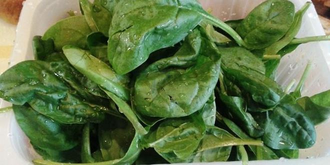 Рецепт каннеллонь под соусом бешамель с рикоттой и шпинатом