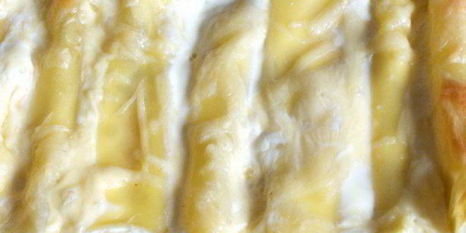 Рецепт каннеллонь с филе семги