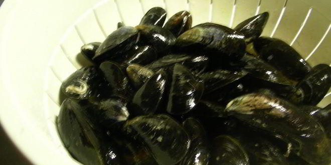 Рецепт пасты с мидиями, шафраном и белым вином