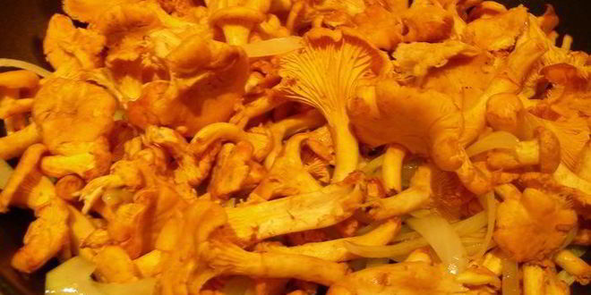 Рецепт жареной китайской лапши с яйцом и лисичками