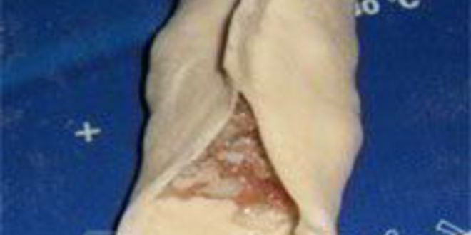 Рецепт мантов узбекских