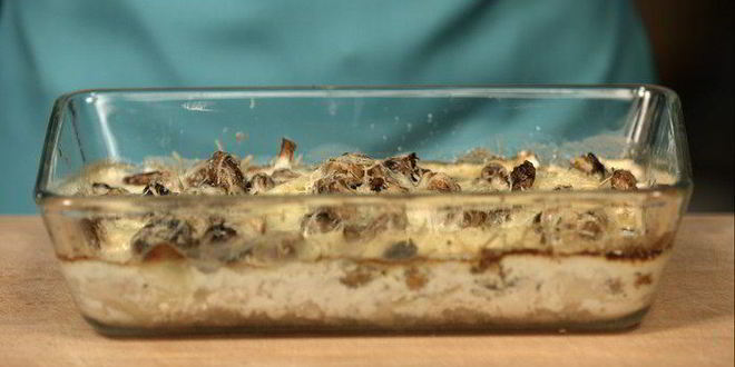 Рецепт слима мясо по-французски