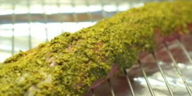 Рецепт свиной вырезки в духовке