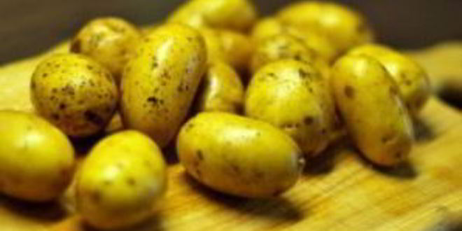 Рецепт свиной вырезки в духовке