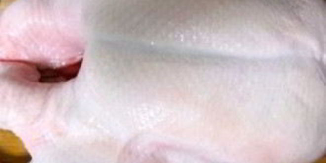 Рецепт утки с яблоками