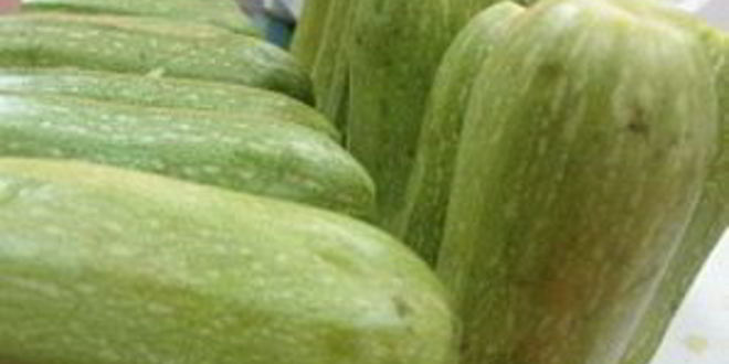 Рецепт кабачков по-арабски