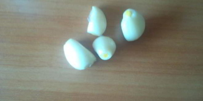 Рецепт перца, фаршированного куриным фаршем с сыром