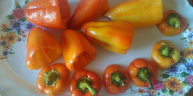 Рецепт перца, фаршированного куриным фаршем с сыром