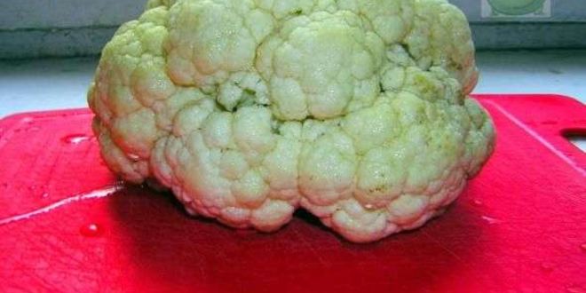 Рецепт цветной капусты