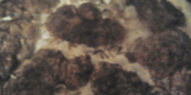 Рецепт отбивных из печени со сливочно-грибным соусом