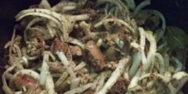 Рецепт печени по-корейски