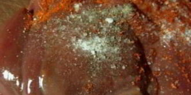 Рецепт печени в пиве