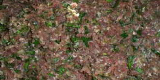 Рецепт хинкали с мясом