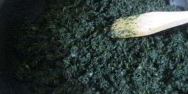 Рецепт пельменей с крапивой