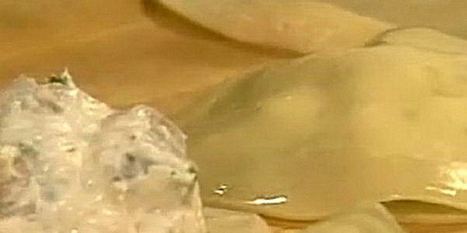 Рецепт жареных эбей-вонтонов