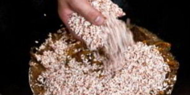 Рецепт чайханского плова