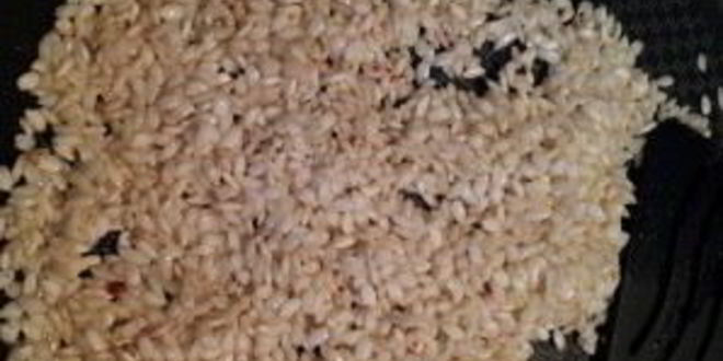 Рецепт паэльи с кальмарами