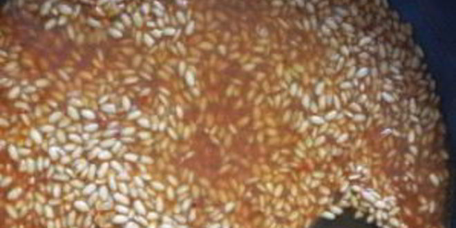 Рецепт паэльи с кальмарами