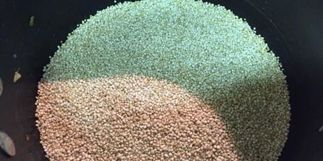 Рецепт плова из киноа с миндалем