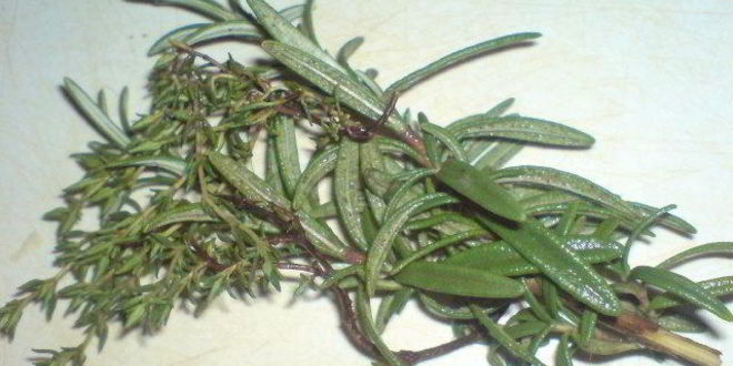 Рецепт летнего рататуя