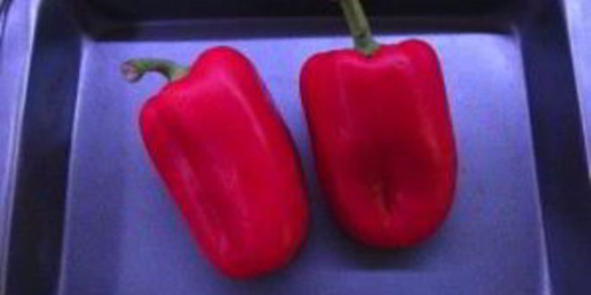 Рецепт рататуя классического в духовке