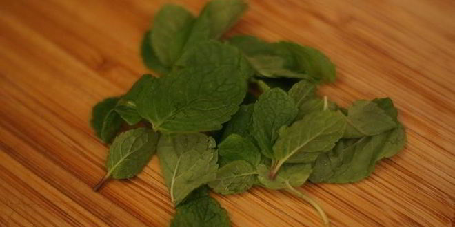 Рецепт ризотто с фенхелем, цукини и мятой