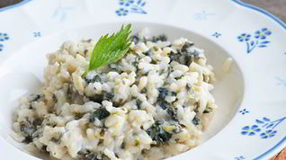 Рецепт Ризотто с крапивой и козьим сыром