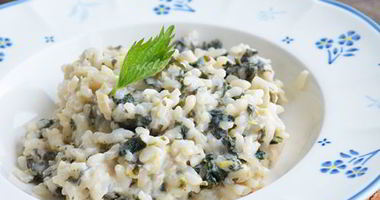 Рецепт Ризотто с крапивой и козьим сыром