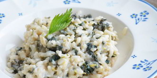 Рецепт Ризотто с крапивой и козьим сыром