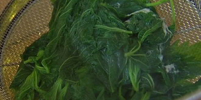 Рецепт ризотто с крапивой