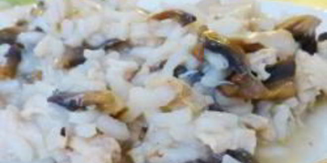 Рецепт Ризотто с курицей и грибами