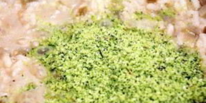 Рецепт ризотто с сыром