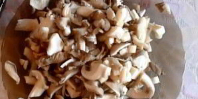 Рецепт кальмаров, тушенных с грибами, луком и сыром