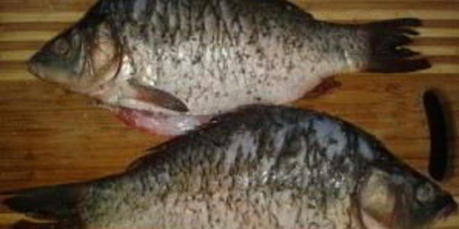 Рецепт карпа, запеченного в сметане