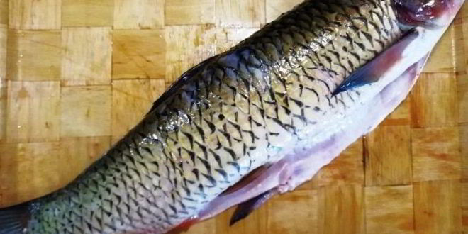 Рецепт запеченного белого амура с овощами