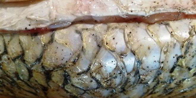 Рецепт запеченного белого амура с овощами