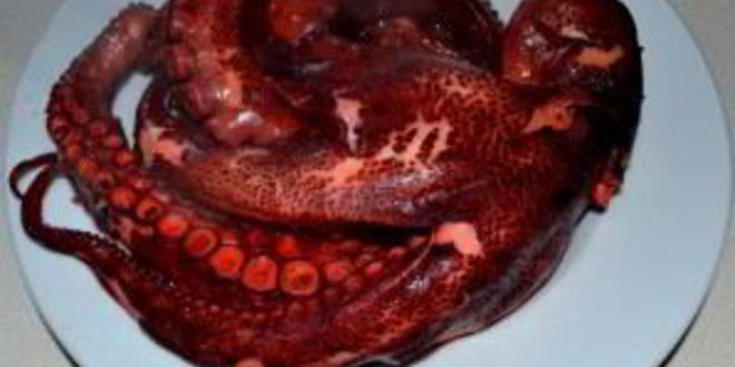 Рецепт жареных осьминогов