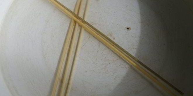 Рецепт куриных шашлычков с кунжутом