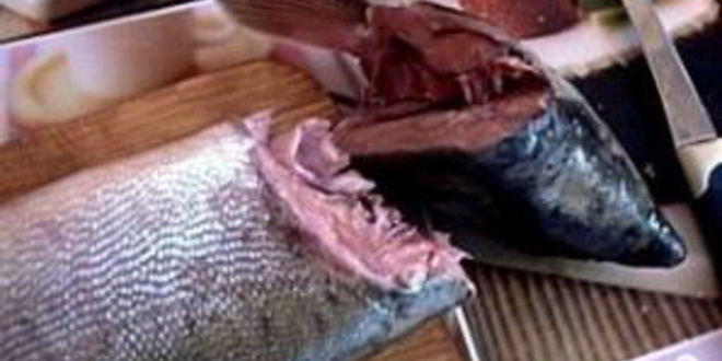 Рецепт шашлыка из горбуши