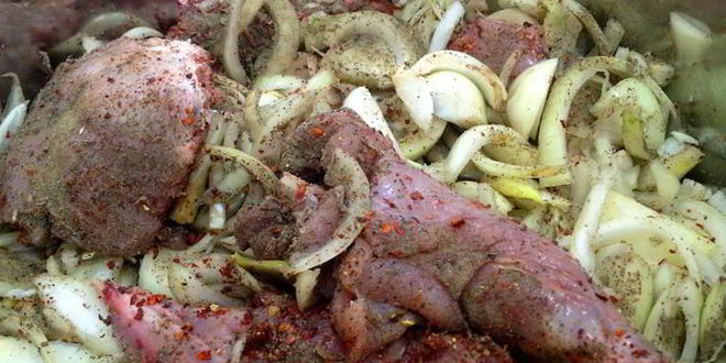 Рецепт шашлыка из кролика