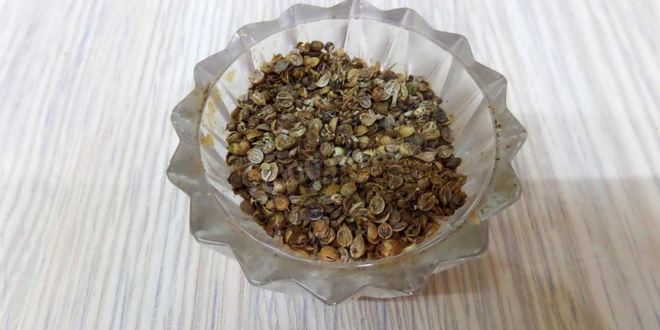 Рецепт шашлыка из печени