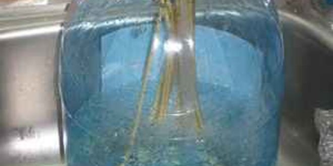 Рецепт шашлыка с овощами в духовке