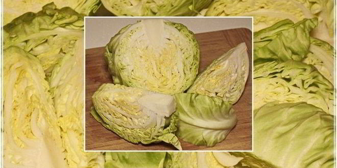 Рецепт шницеля из капусты